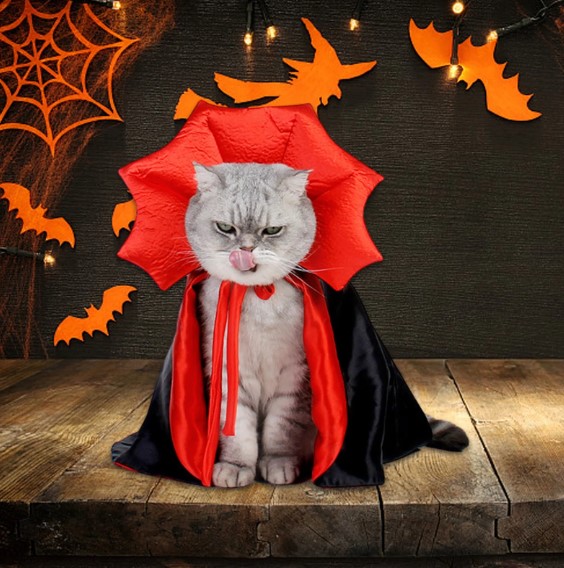 Feline Frights: How to Dress Your Cat Safely for a Halloween Delight